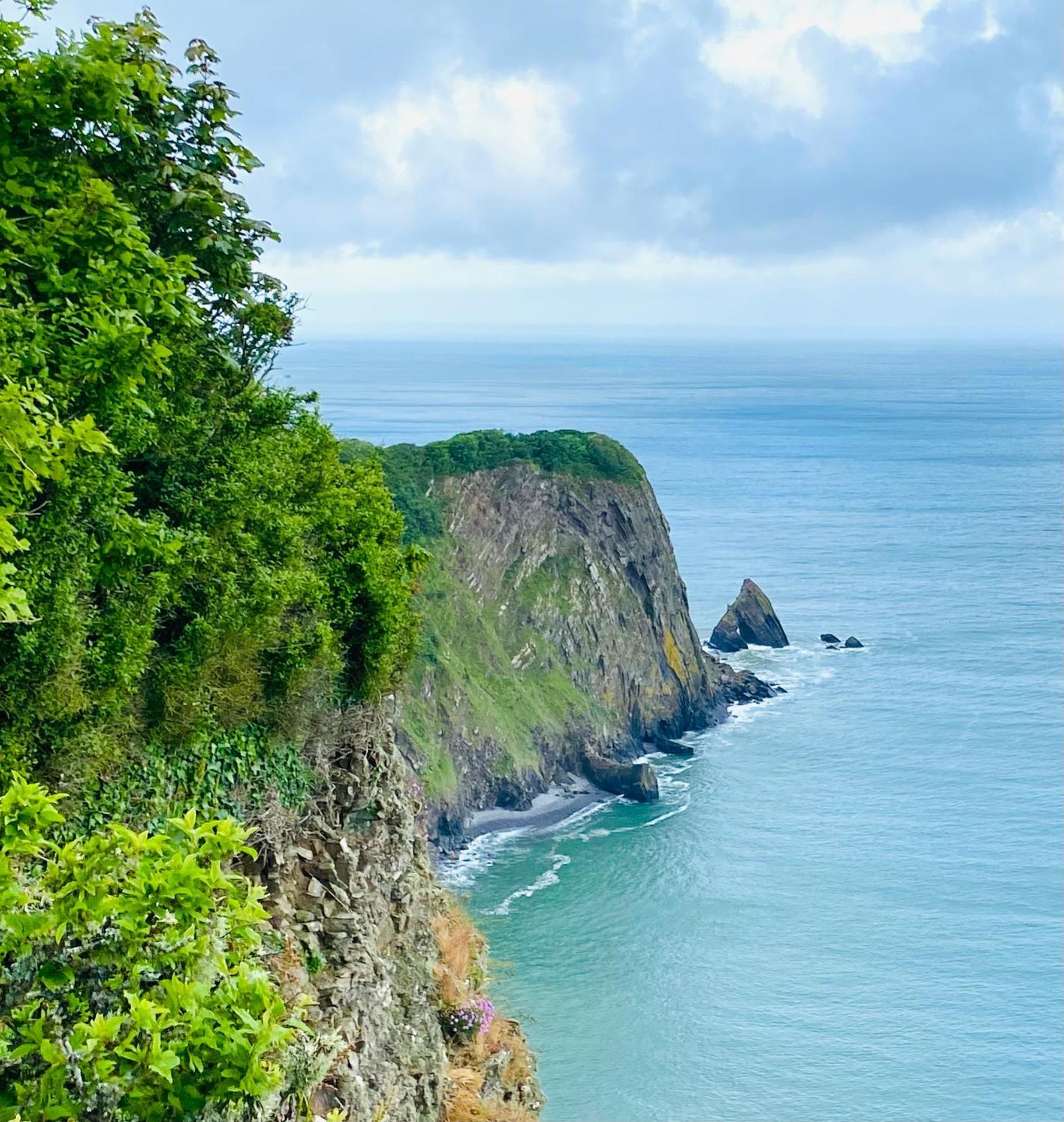 Petrock Holiday Cottages Newton Saint Petrock Ngoại thất bức ảnh